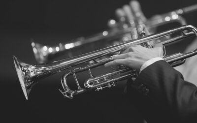 Princípio 6: O tamanho de uma empresa depende do tamanho do mercado em que ela está inserida