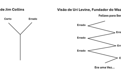A Teoria e o Unicórnio