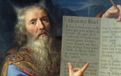 O 11º mandamento e o modelo societário do Fundo Order